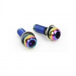 Sram Caliper Mounting Hardware (Also Direct Mount) Stainless Rainbow Bolts - Standard Mount